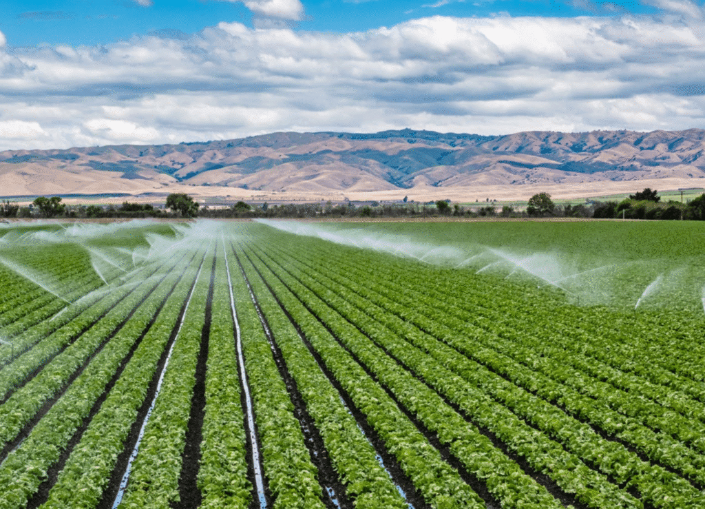 irrigation and agriculture irrigation and agriculture